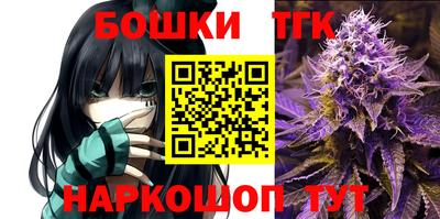 шишки Кингисепп