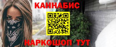 шишки Кингисепп