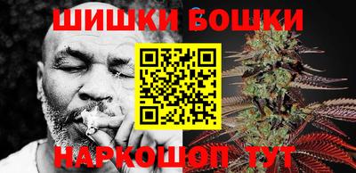 шишки Кингисепп