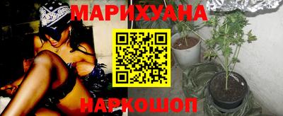 шишки Кингисепп