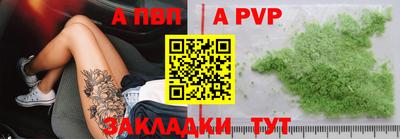 шишки Кингисепп