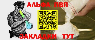 шишки Кингисепп
