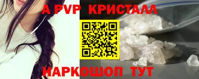 шишки Кингисепп