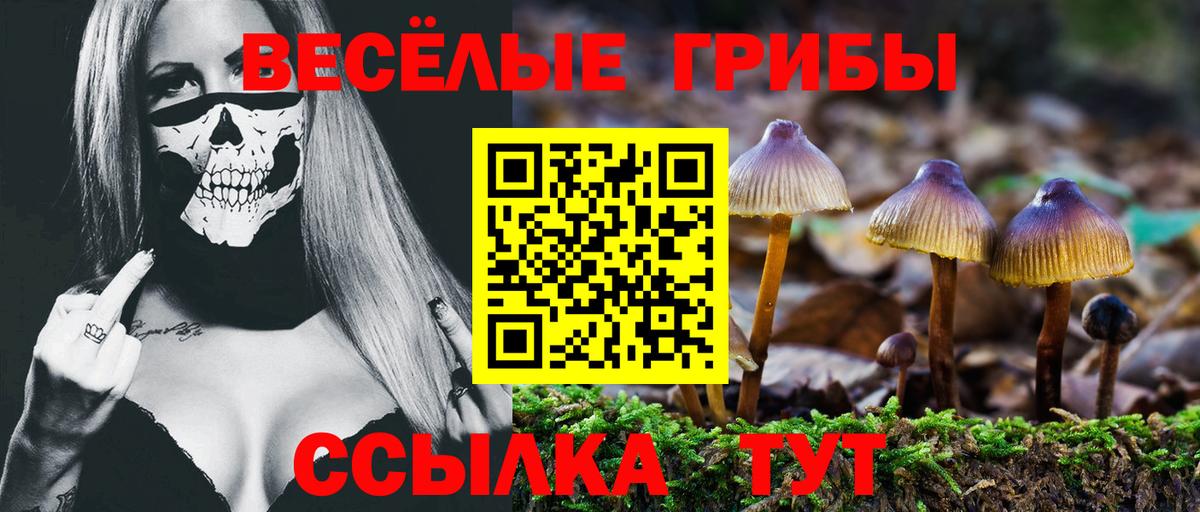 Псилоцибиновые грибы GOLDEN TEACHER Нарткала