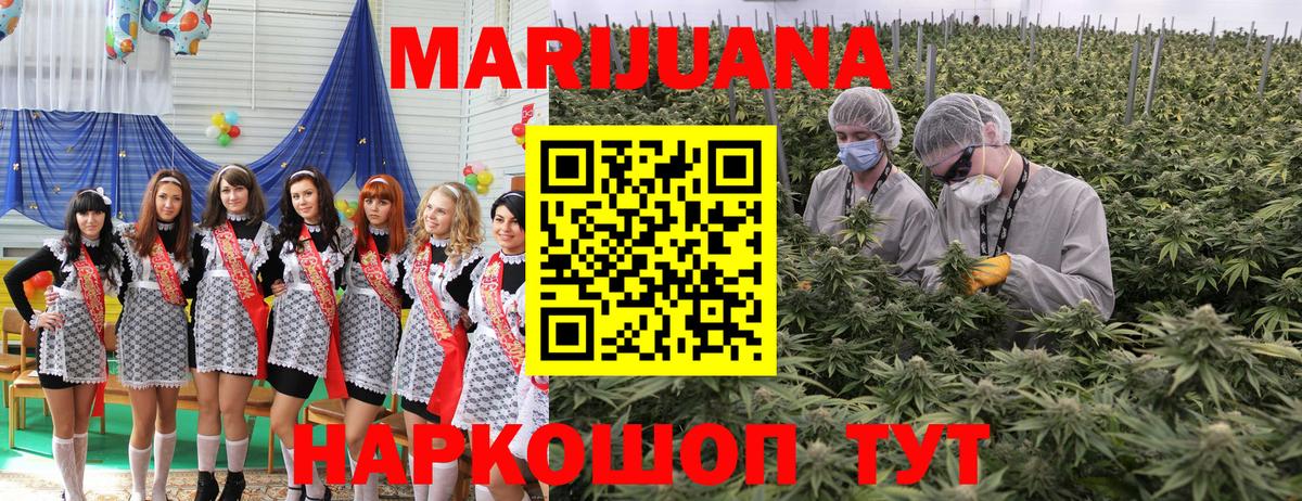 Бошки Шишки индика Нарткала